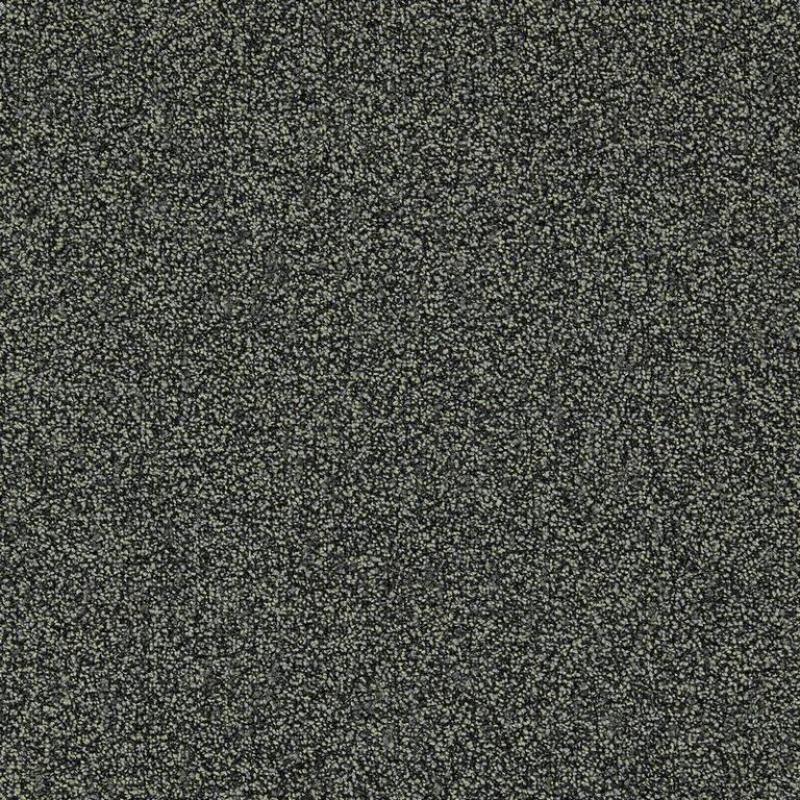 Antraciet Dolomite Aventurine Tapijttegels van Interface