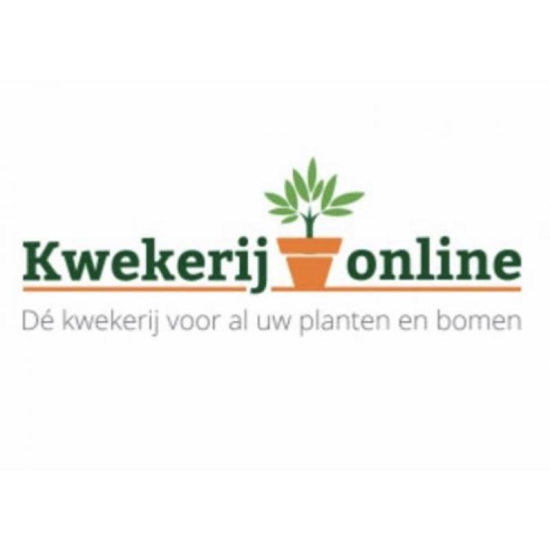 Bomen en planten