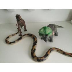 Dieren