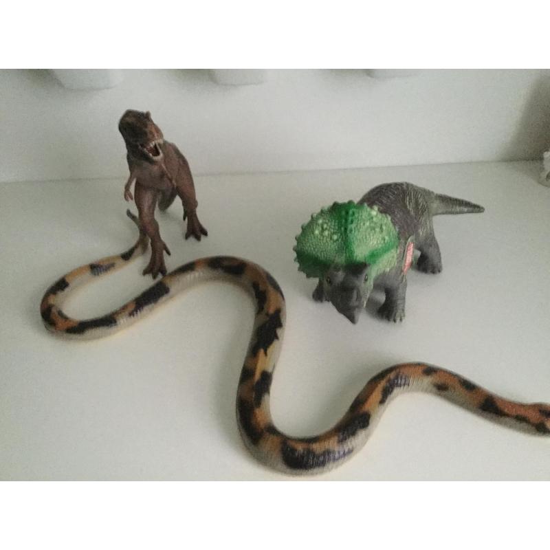 Dieren