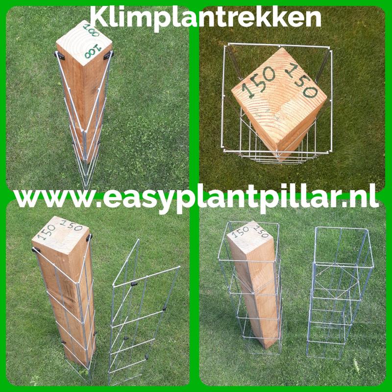 Beplanting langs staanders van een overkapping leiden.