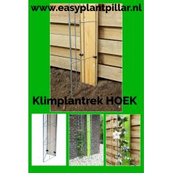 Beplanting langs staanders van een overkapping leiden.