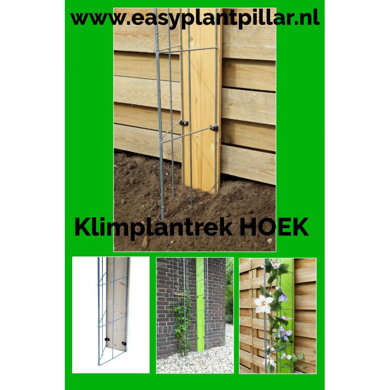 Beplanting langs staanders van een overkapping leiden.