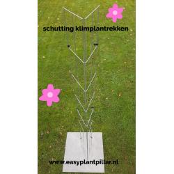 PLANTREKKEN voor tomatenplanten tomaten