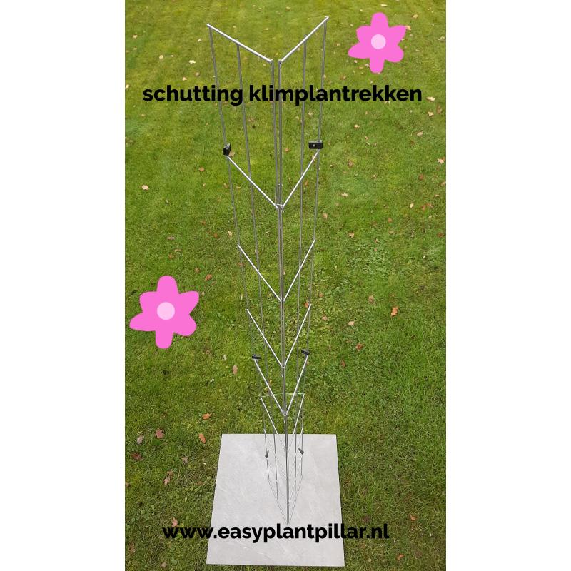 PLANTREKKEN voor tomatenplanten tomaten