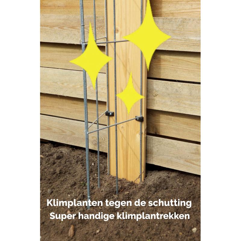 PLANTREKKEN voor tomatenplanten tomaten