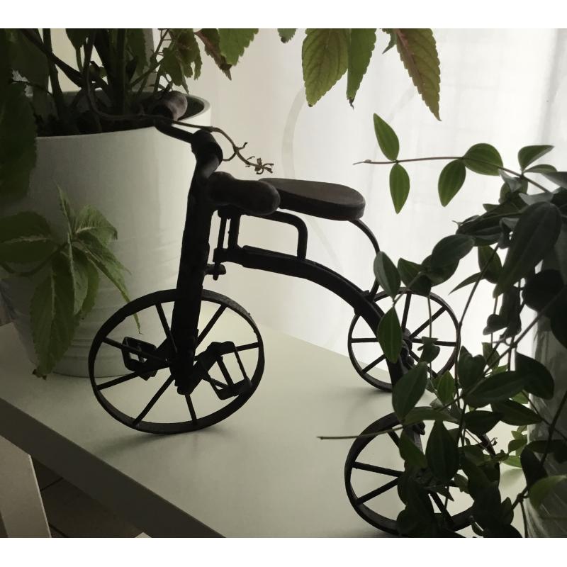 Brocante fietsje