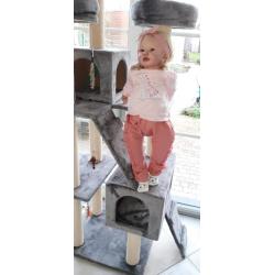Todler Bonnie te koop