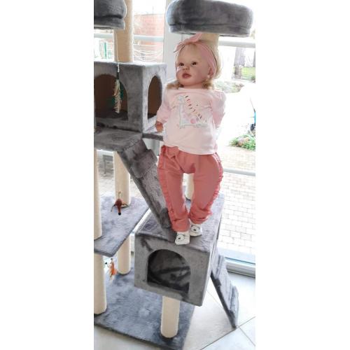 Todler Bonnie te koop