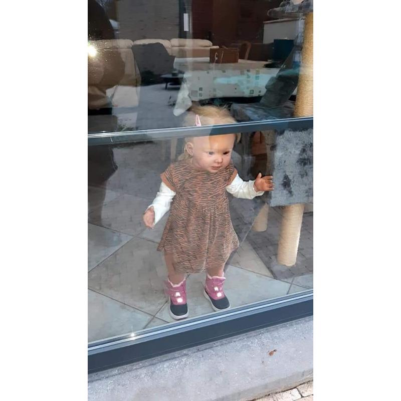 Todler Bonnie te koop