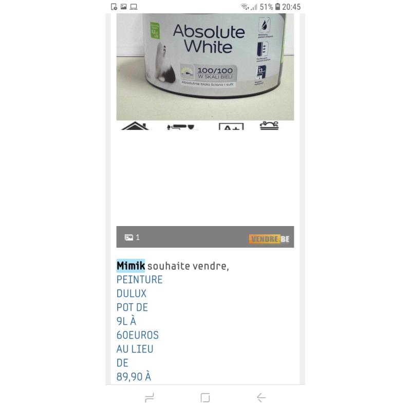 Dulux Verfpotten
