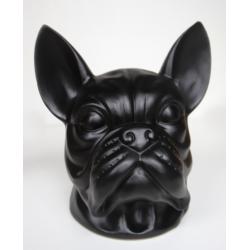 Urn Franse buldog.