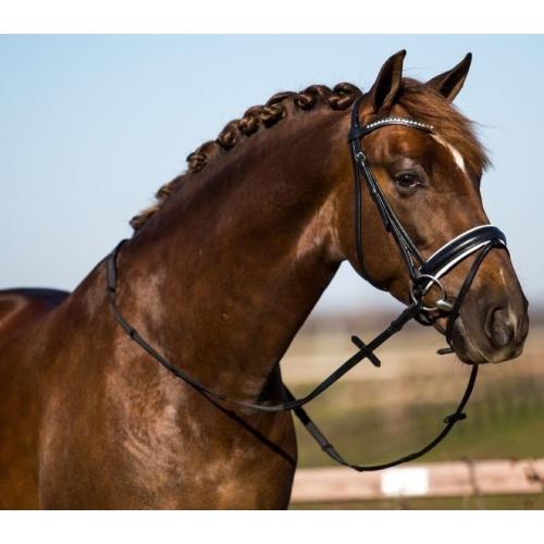 Nieuw: Luxe hoofdstel Profi Rider zwart/wit full