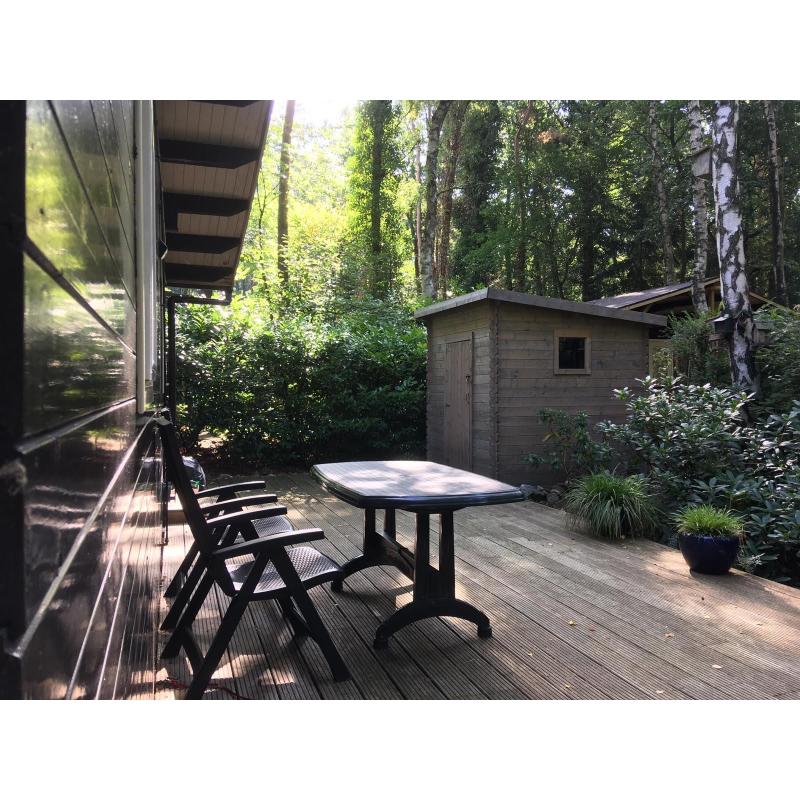 Te huur bos chalet (max. 3 pers.) 9 km van Maastricht