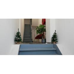 Appartement te koop Oostende