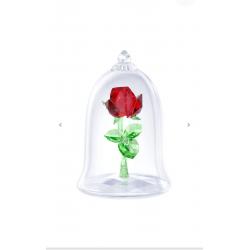 Belle met betoverde roos