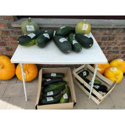 Bio courgettes en pompoenen