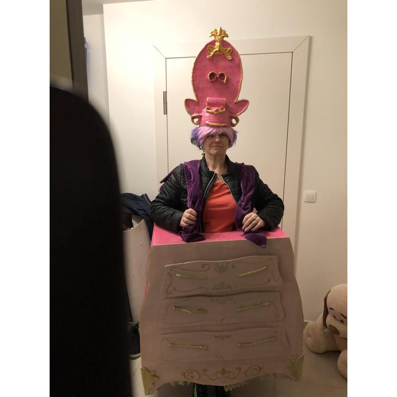 carnavalkledy en toebehoren thema belle en het beest