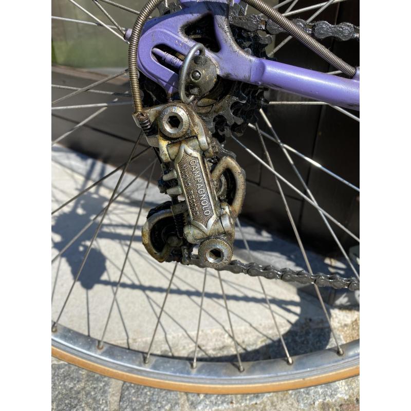 Toyota Landcruiser