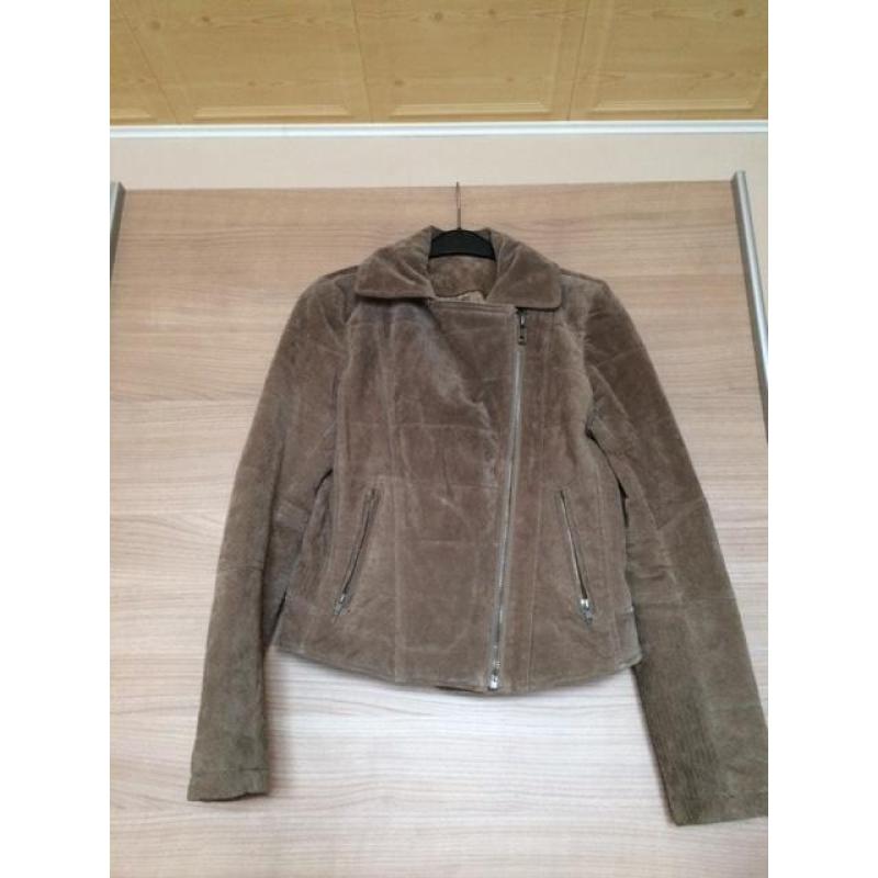 daine vest