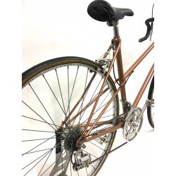 Gazelle Champion Mondial