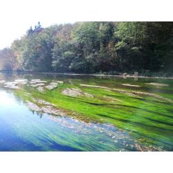 Ardennen - Bohan - chalets rechtstreeks aan de oever van de Semois