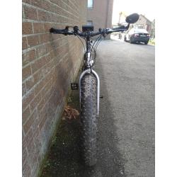 E-bike Fatbike