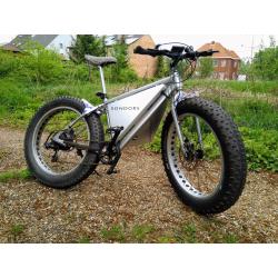 E-bike Fatbike