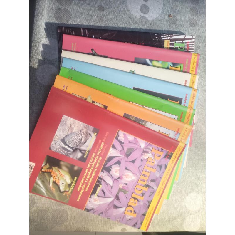 Te Koop Compleet Gifkikker Paludarium