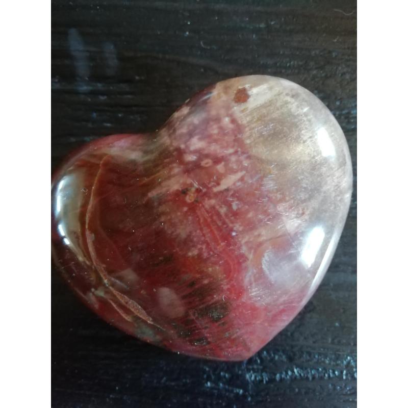 Versteend hout hart 227 gram