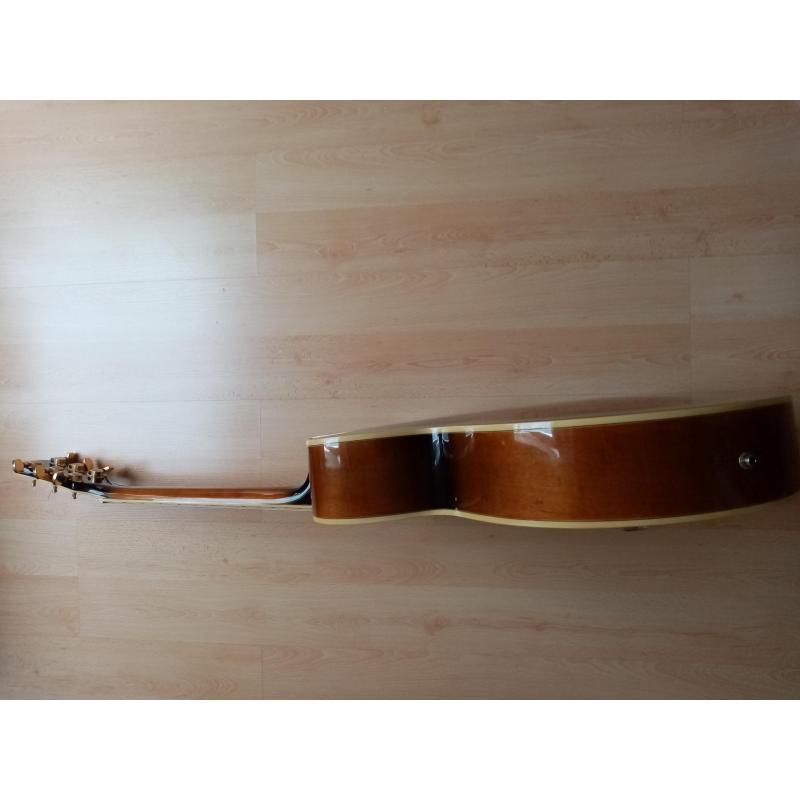 Washburn J6