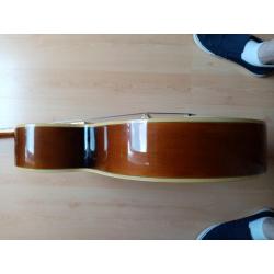 Washburn J6