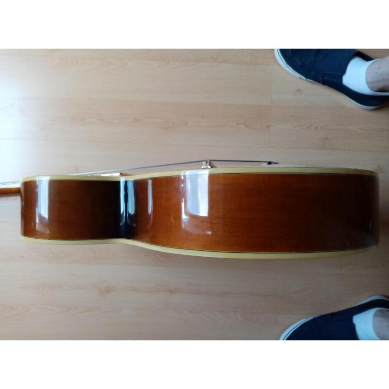 Washburn J6