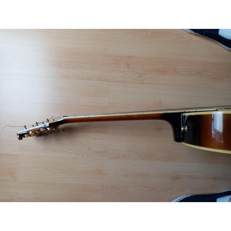 Washburn J6