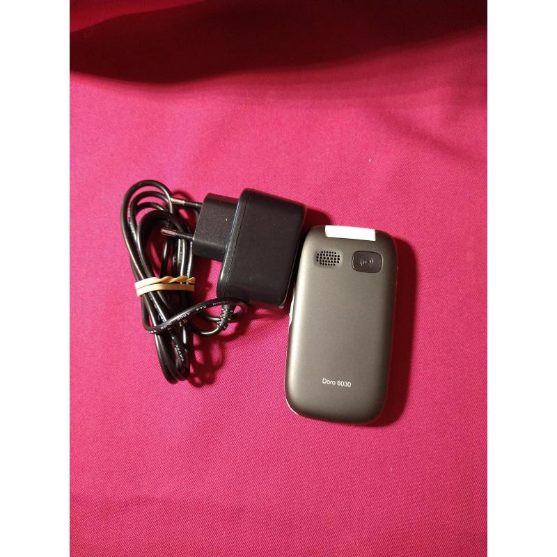 GSM Doro 6030