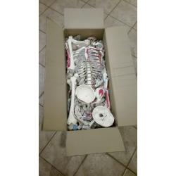 Anatomisch skelet met geverfde spieraanhechting/oorsprong