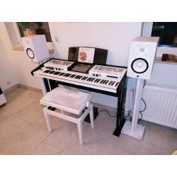 Wersi keyboard PEGASUS WING