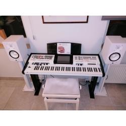 Wersi keyboard PEGASUS WING