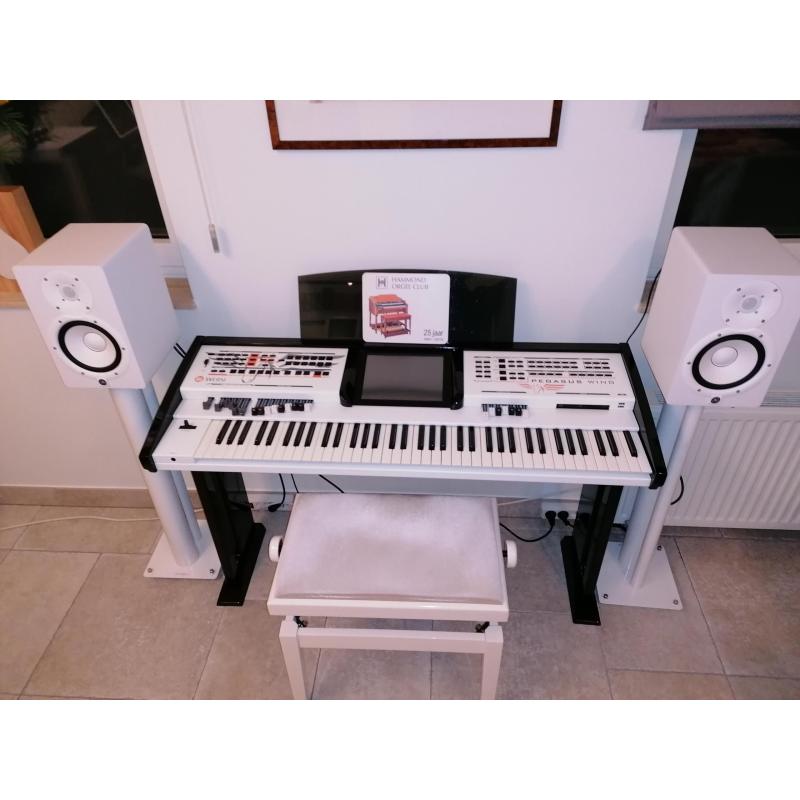 Wersi keyboard PEGASUS WING