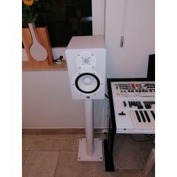 Wersi keyboard PEGASUS WING