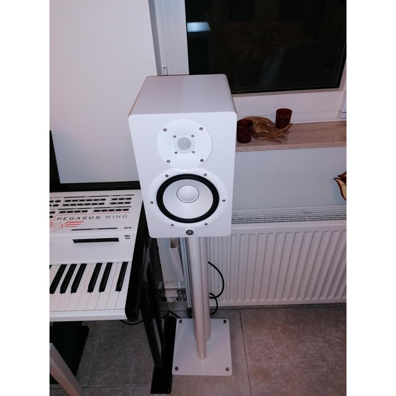 Wersi keyboard PEGASUS WING