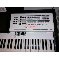 Wersi keyboard PEGASUS WING