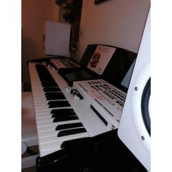 Wersi keyboard PEGASUS WING