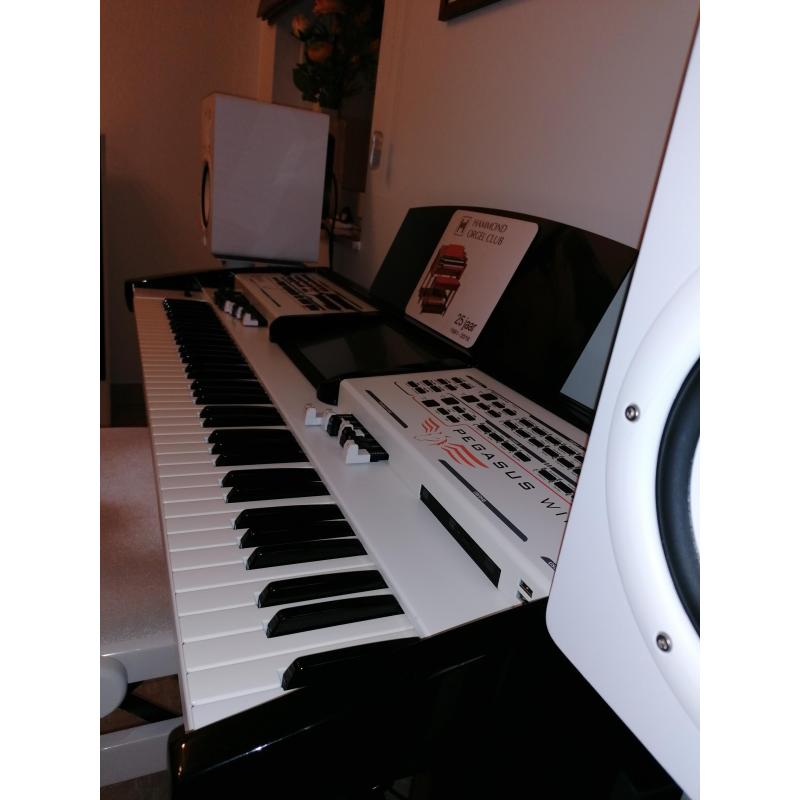 Wersi keyboard PEGASUS WING
