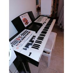Wersi keyboard PEGASUS WING