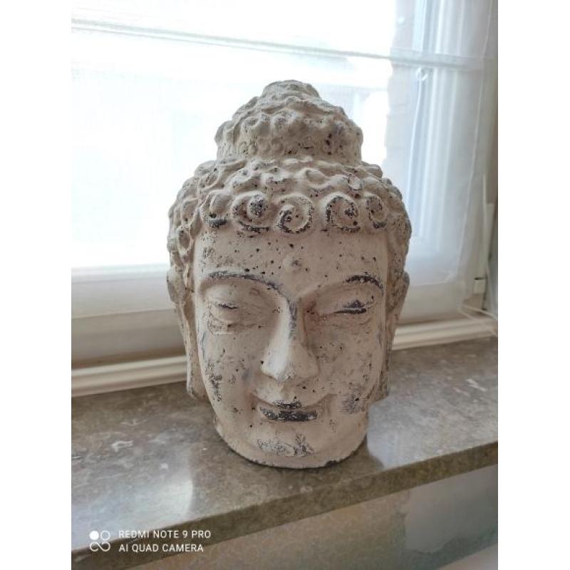 Boedha beeld te koop