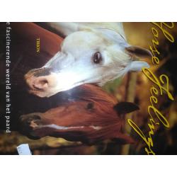 boeken over paarden te koop