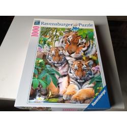 Puzzels van 1000 stukjes.