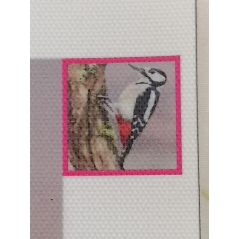 Diamond Painting "Specht" 30 x 30 cm afgewerkt