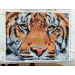 Diamond Painting "Bengaalse Tijgerkop" 42 x 32cm afgewerkt